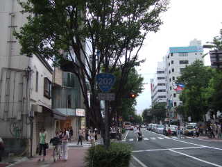 国道35号写真