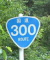 国道300号
