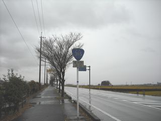 国道35号写真