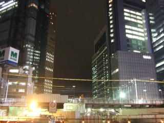 2007_012311230009