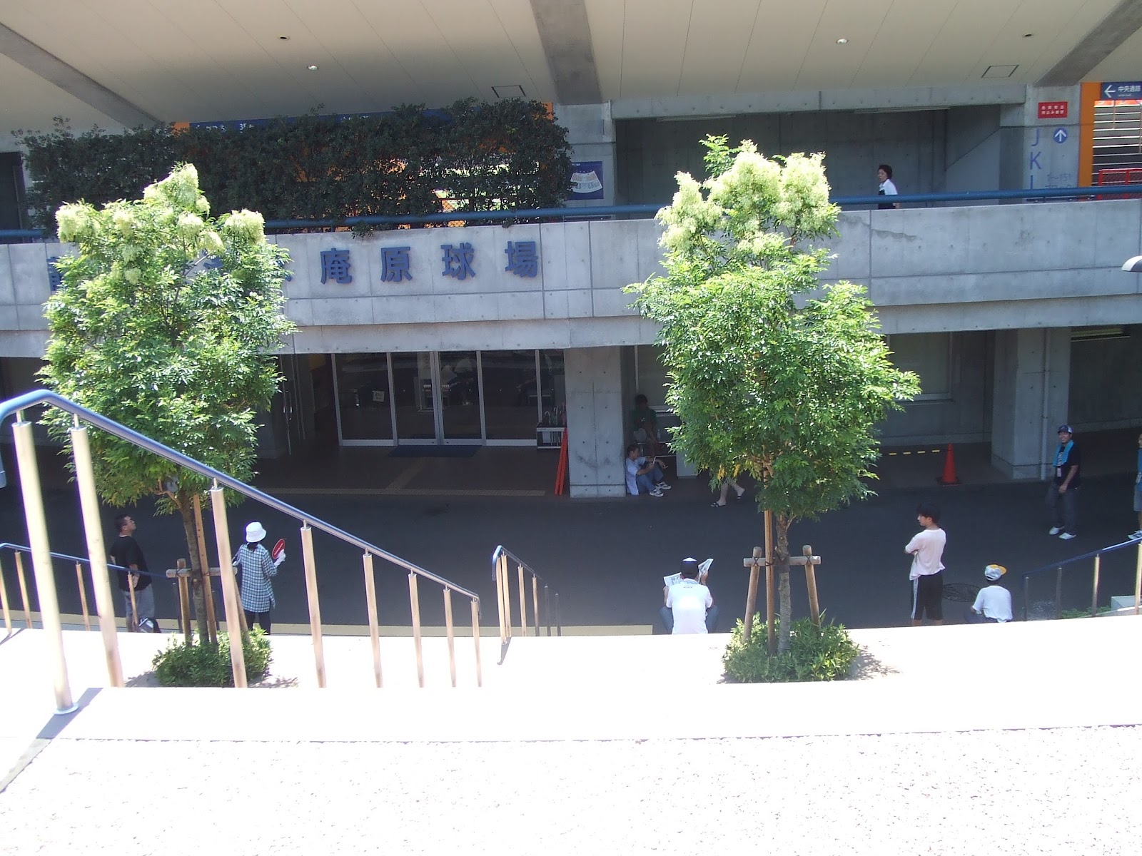 正面入口は階段の下。斜面に掘り下げて作った球場だからか?